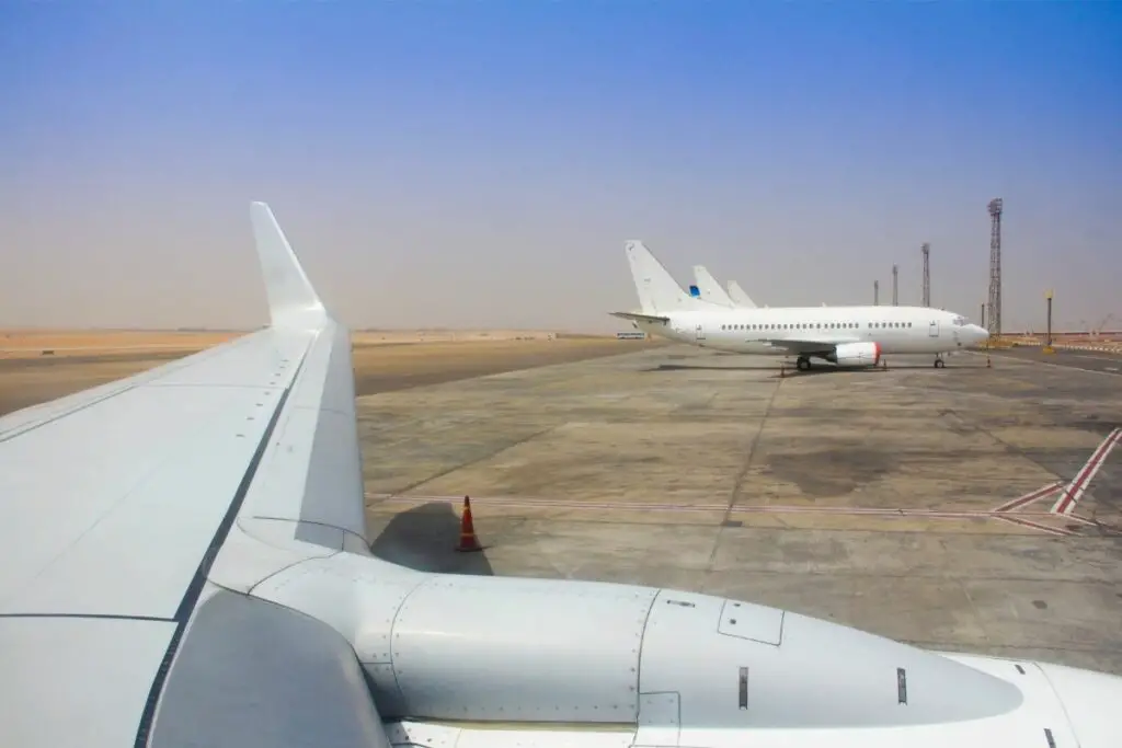 Are Emotional Support Animals Allowed On Planes? Therapy Pets Unlimited