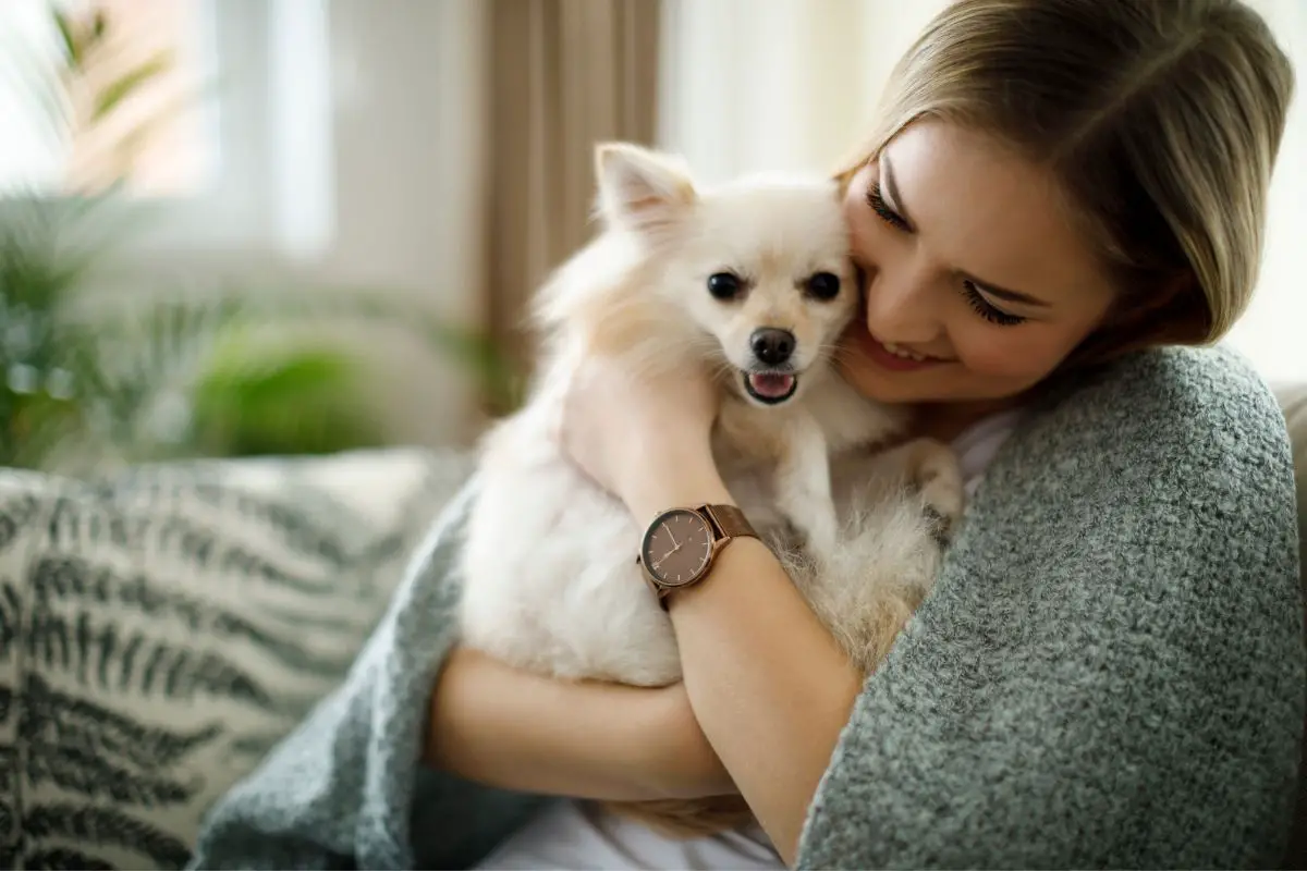 two-emotional-support-dogs-help-their-owners-cope-in-school-service