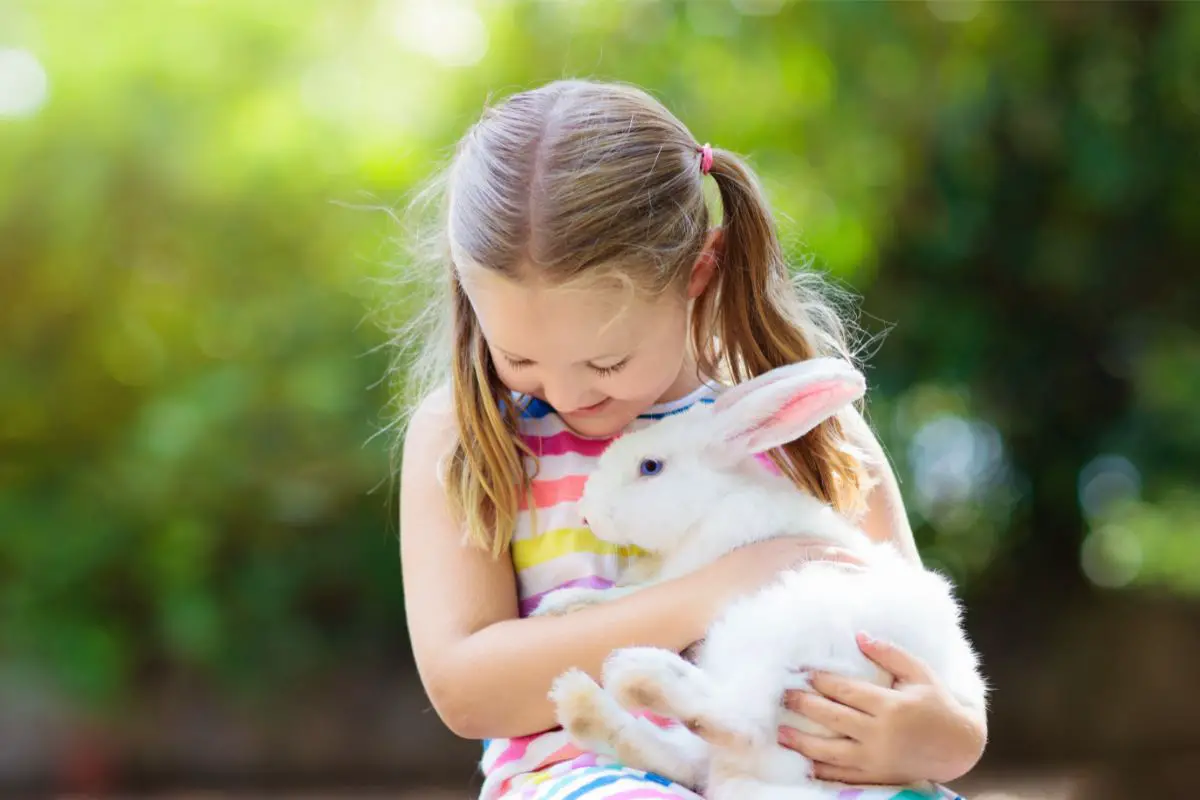 Best Pet For Child With Anxiety