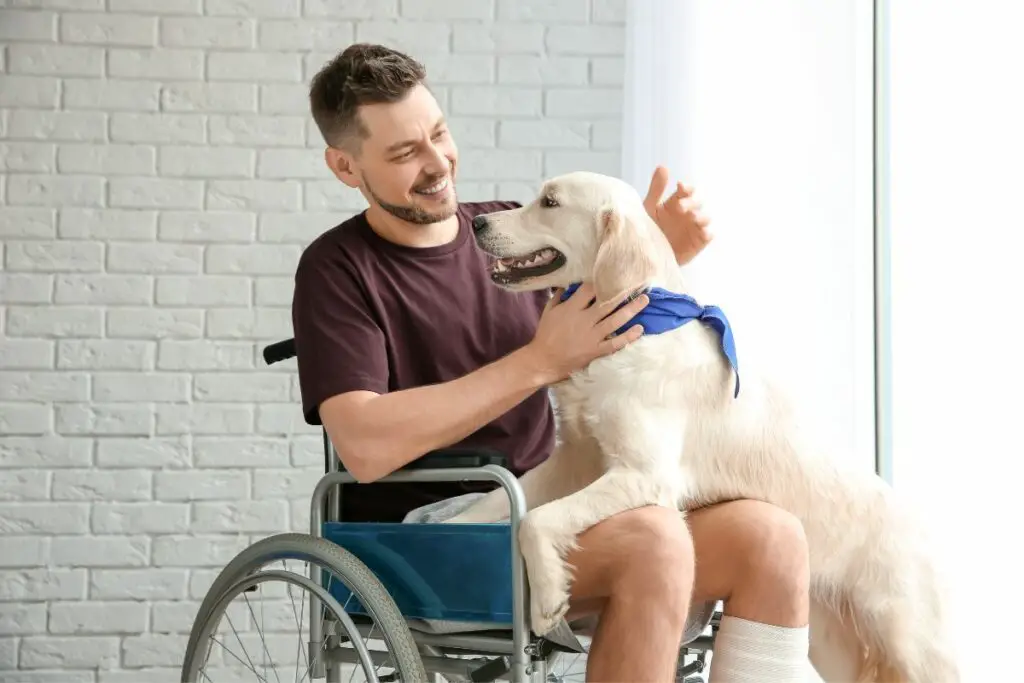 can-you-ask-for-proof-of-a-service-dog-therapy-pets-unlimited