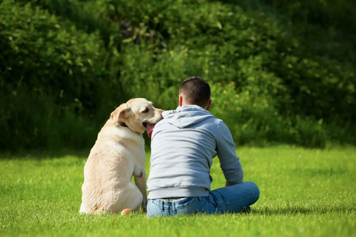 How to Ask Your Doctor For an Emotional Support Animal