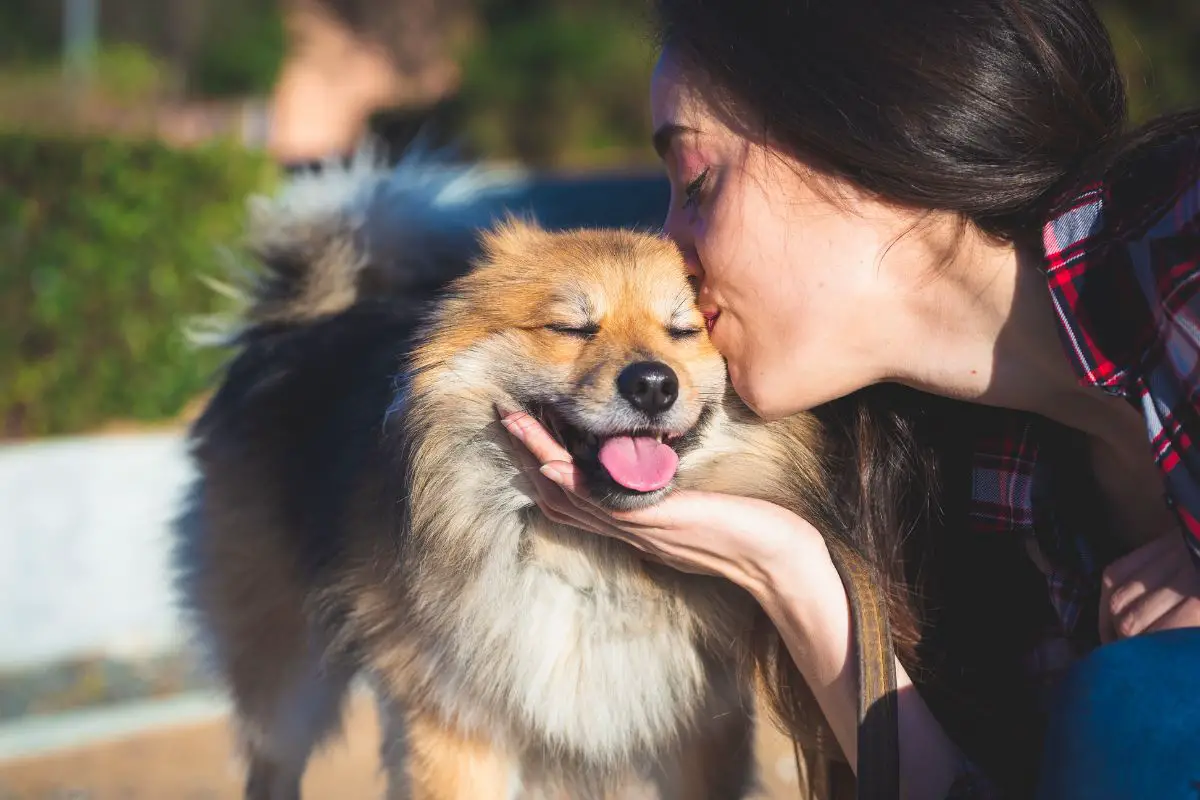 What Animals Can Be Emotional Support Animals