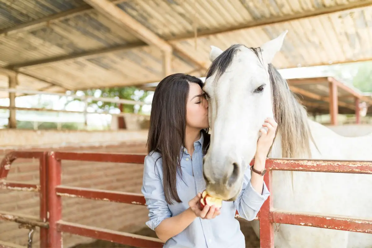 What Is Equine Therapy?