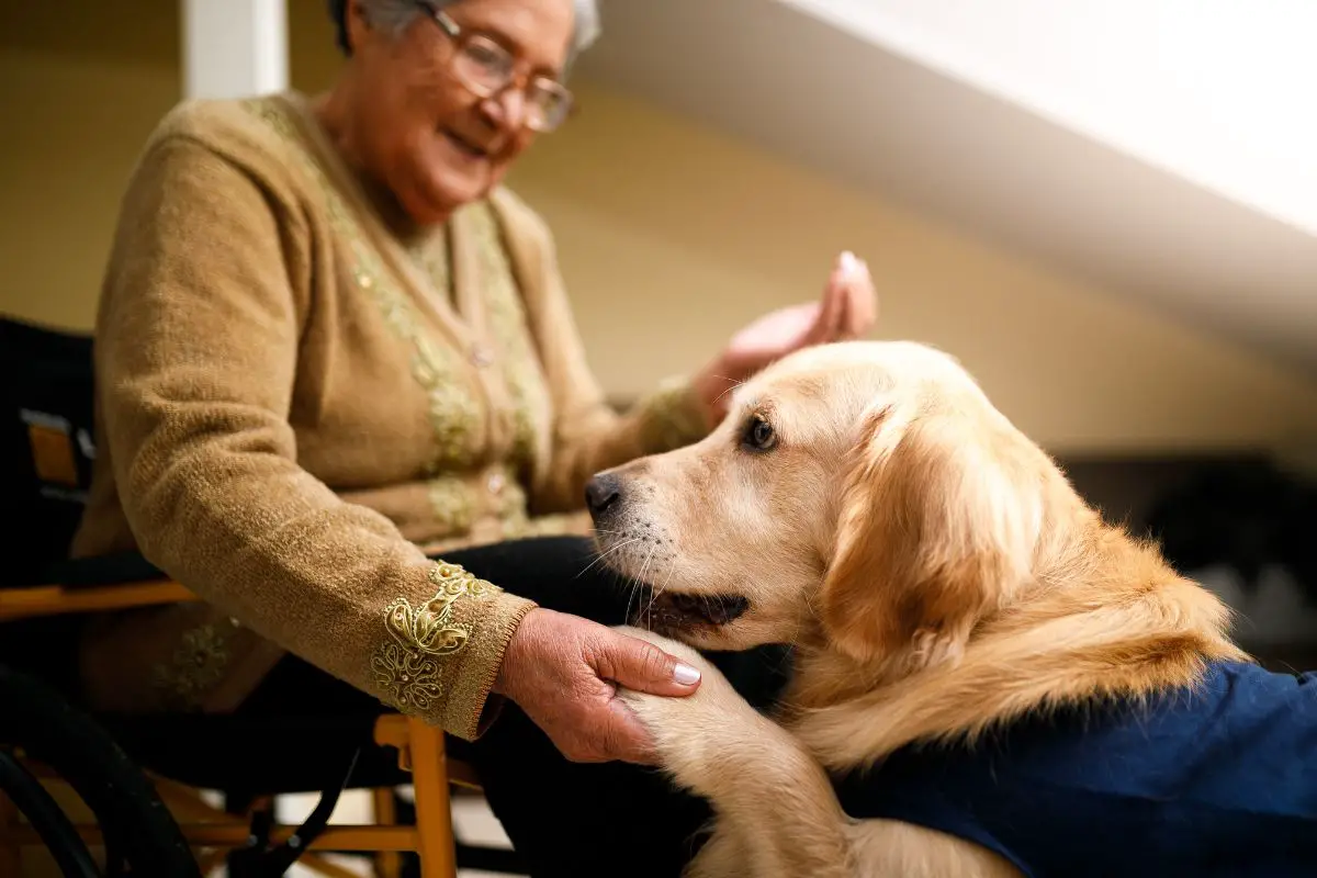 What People Benefit From A Therapy Dog?