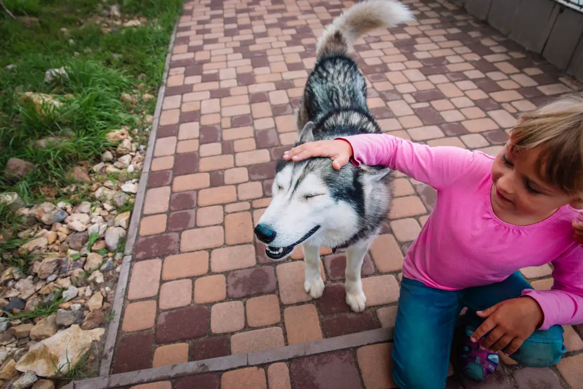 What are the Benefits of Pets for Children?