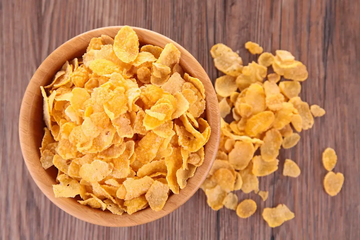 Can Your Dog Eat Corn Chips? 